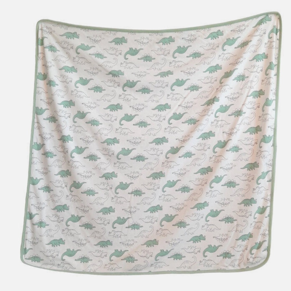 Carters Dinosaur Baby Blanket